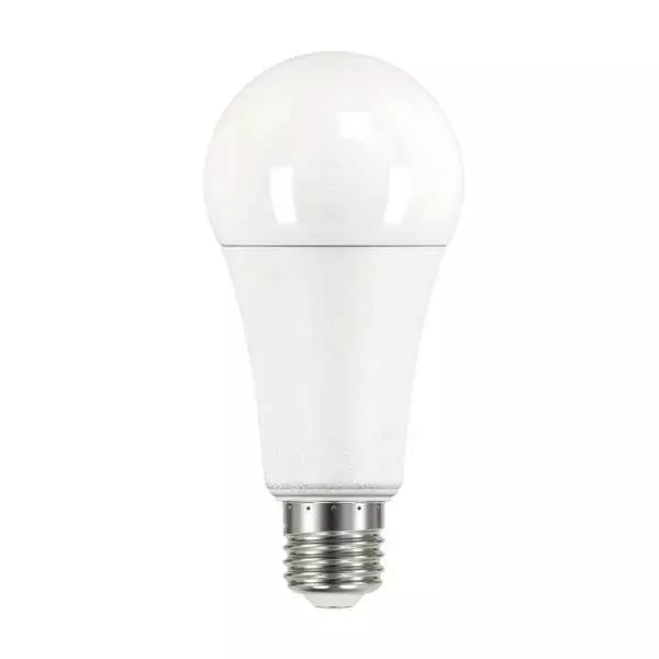 Ampoule LED E27 19W A67 équivalent à 150W - Blanc Chaud 2700K 
