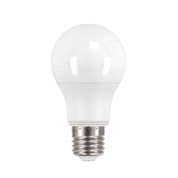 Ampoule LED E27 5,5W A60 équivalent à 41W - Blanc du Jour 6500K 